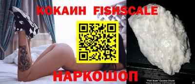 стафф Гусев