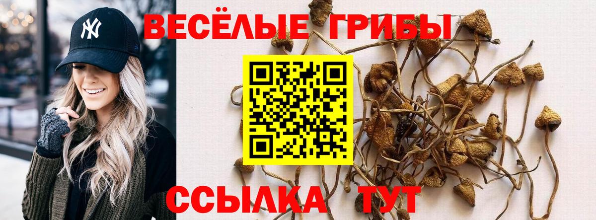Псилоцибиновые грибы мицелий Моздок