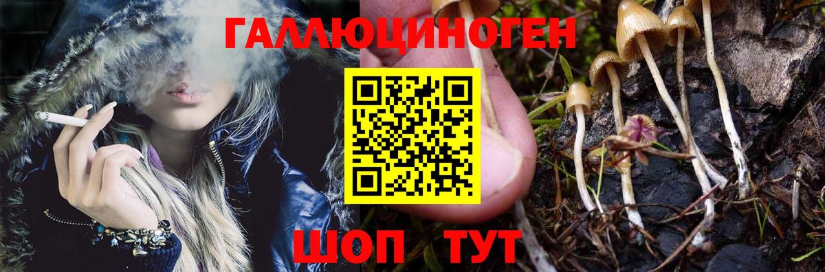 Псилоцибиновые грибы Cubensis  магазин продажи   Моздок  Вход с VPN  Галлюциногенные грибы мухоморы 